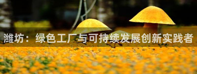 摩根娱乐登录入口网站