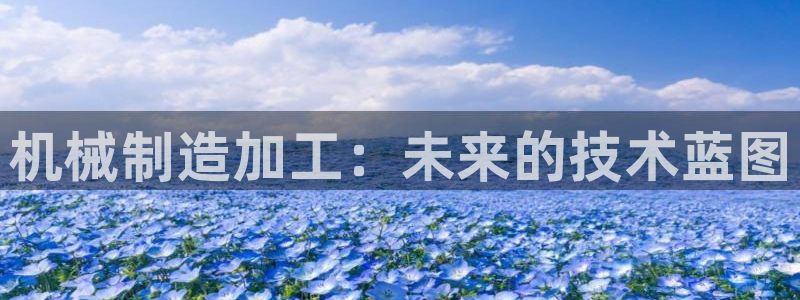摩根娱乐宝如何提现